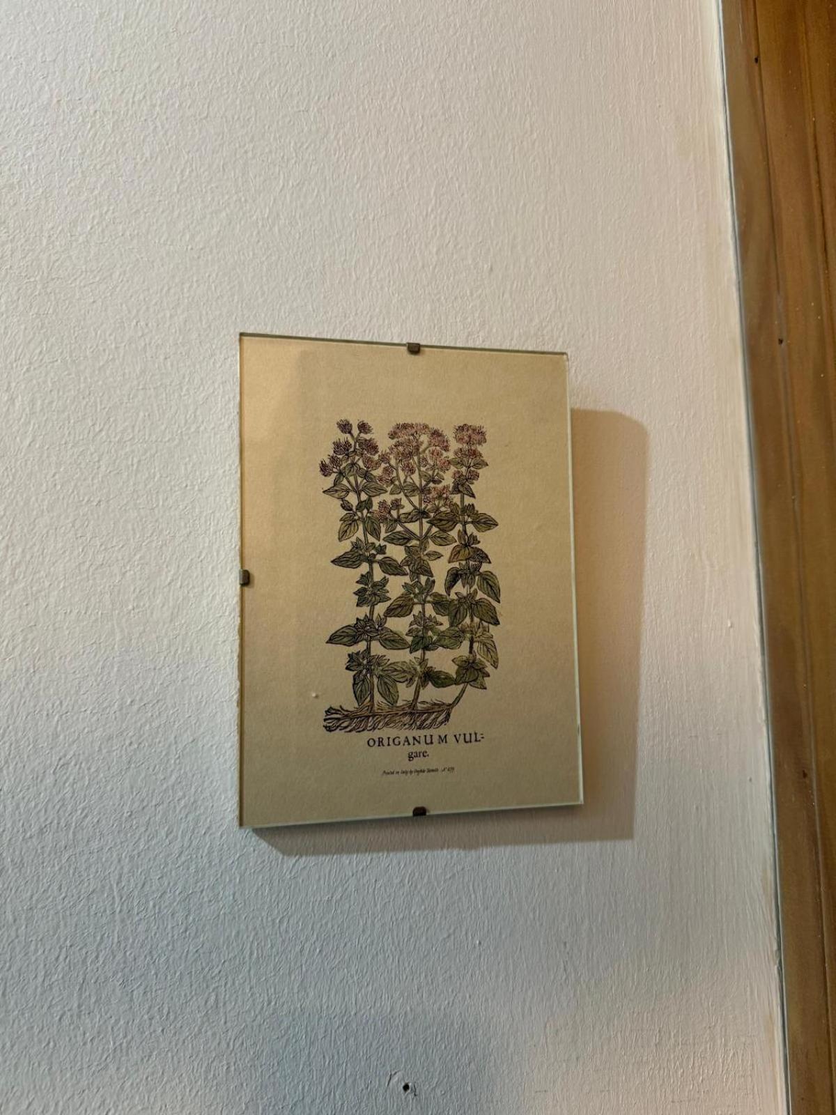 Apartamento Casa Palacio 1890. El Puerto de Santa María Esterno foto